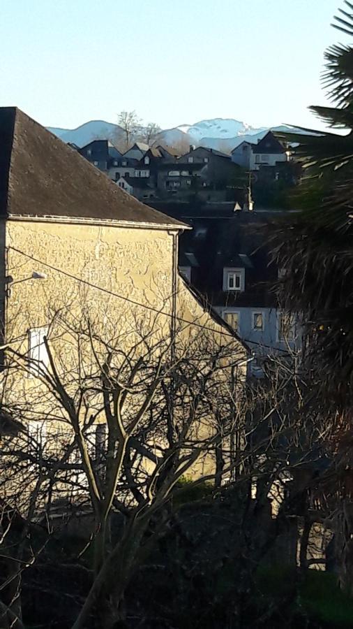 Chambres D'Hotes L'Oustal Oloron-Sainte-Marie Buitenkant foto